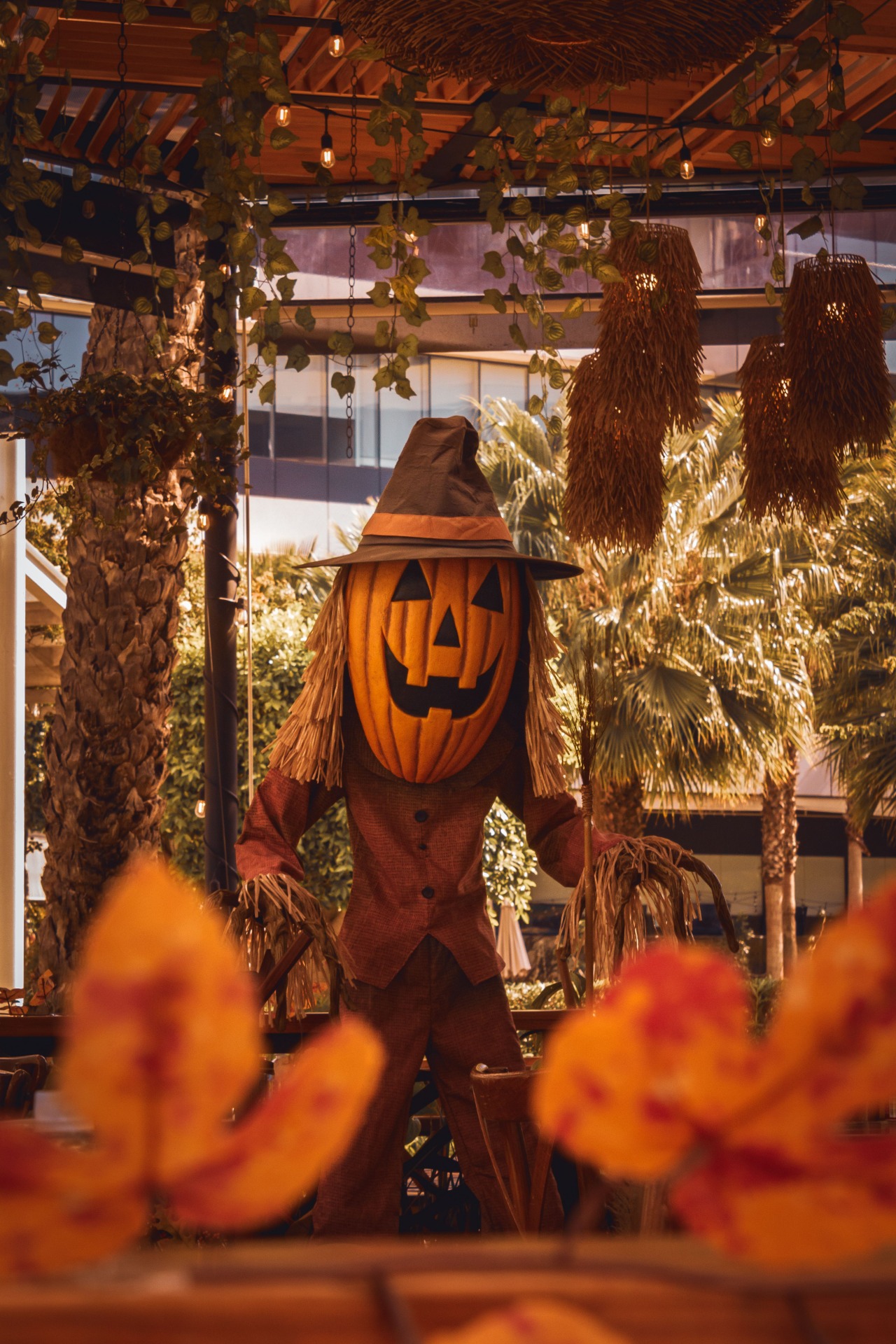 Planning to celebrate Halloween in Český Krumlov? Discover spooky events, autumn magic, and book reliable transfers with Taxi Transfer CK!